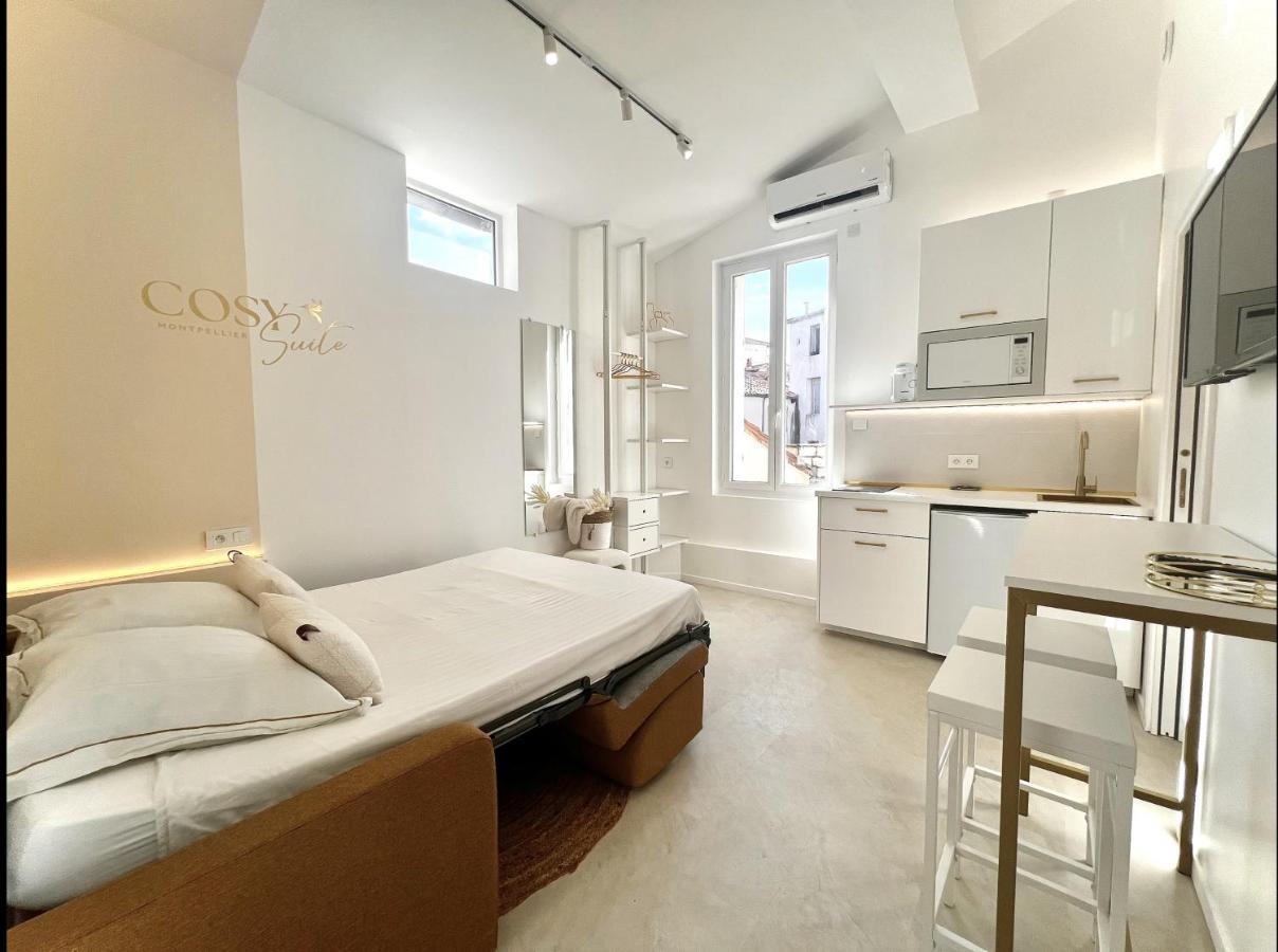 Cosy Suite - Elegance & Calme En Hyper-Centre Montpellier Dış mekan fotoğraf