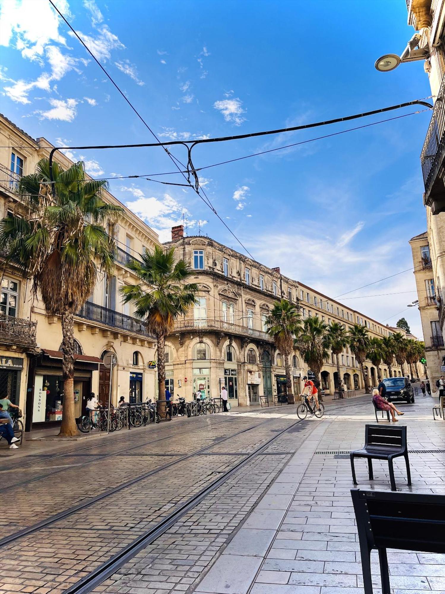 Cosy Suite - Elegance & Calme En Hyper-Centre Montpellier Dış mekan fotoğraf